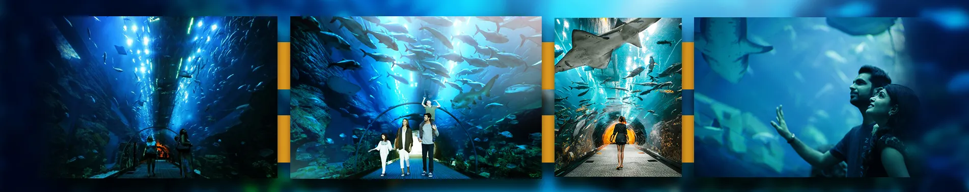 Dubai Mall Aquarium With Underwater Zoo