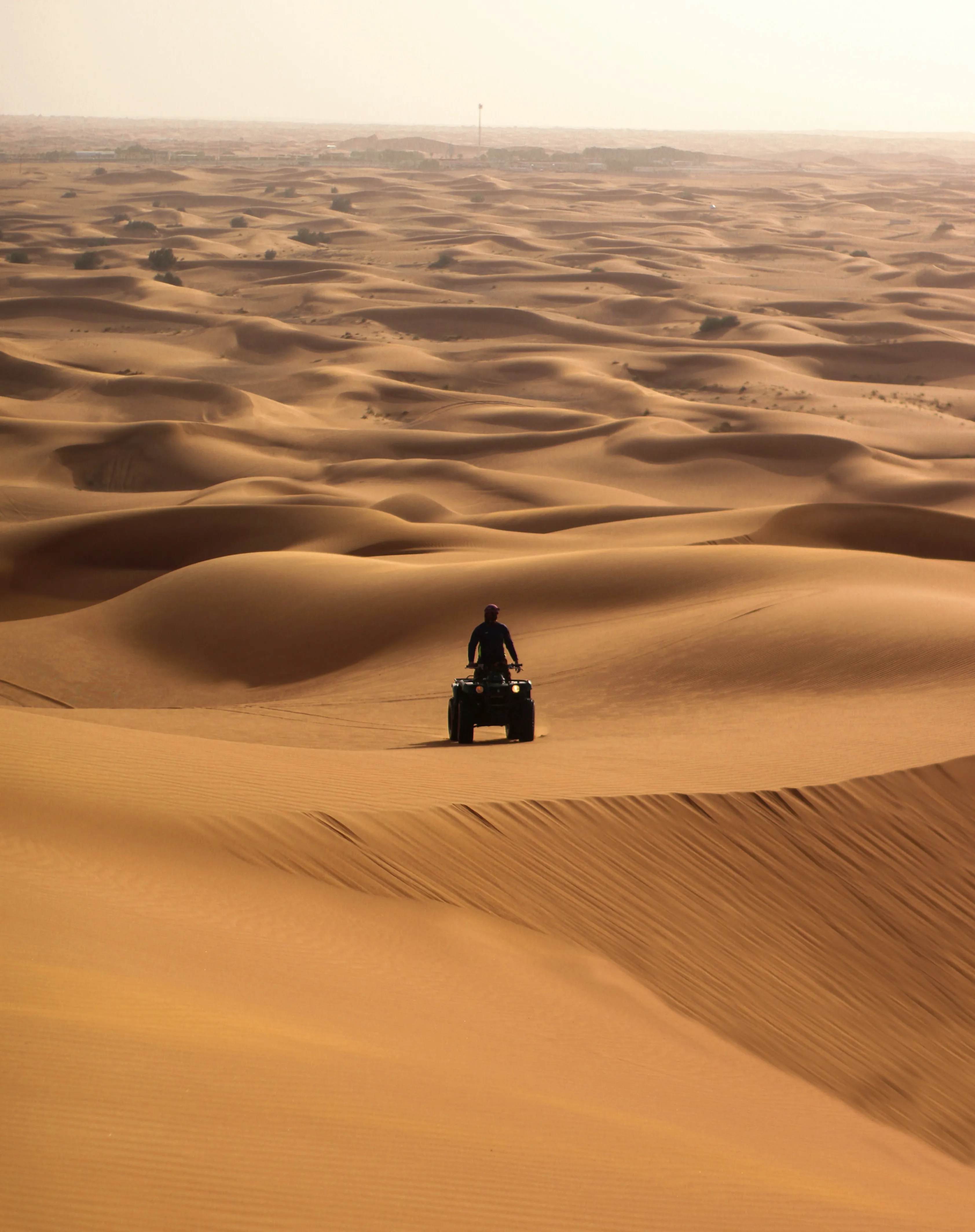 Morning Desert Safari and self Quad Bike drive
