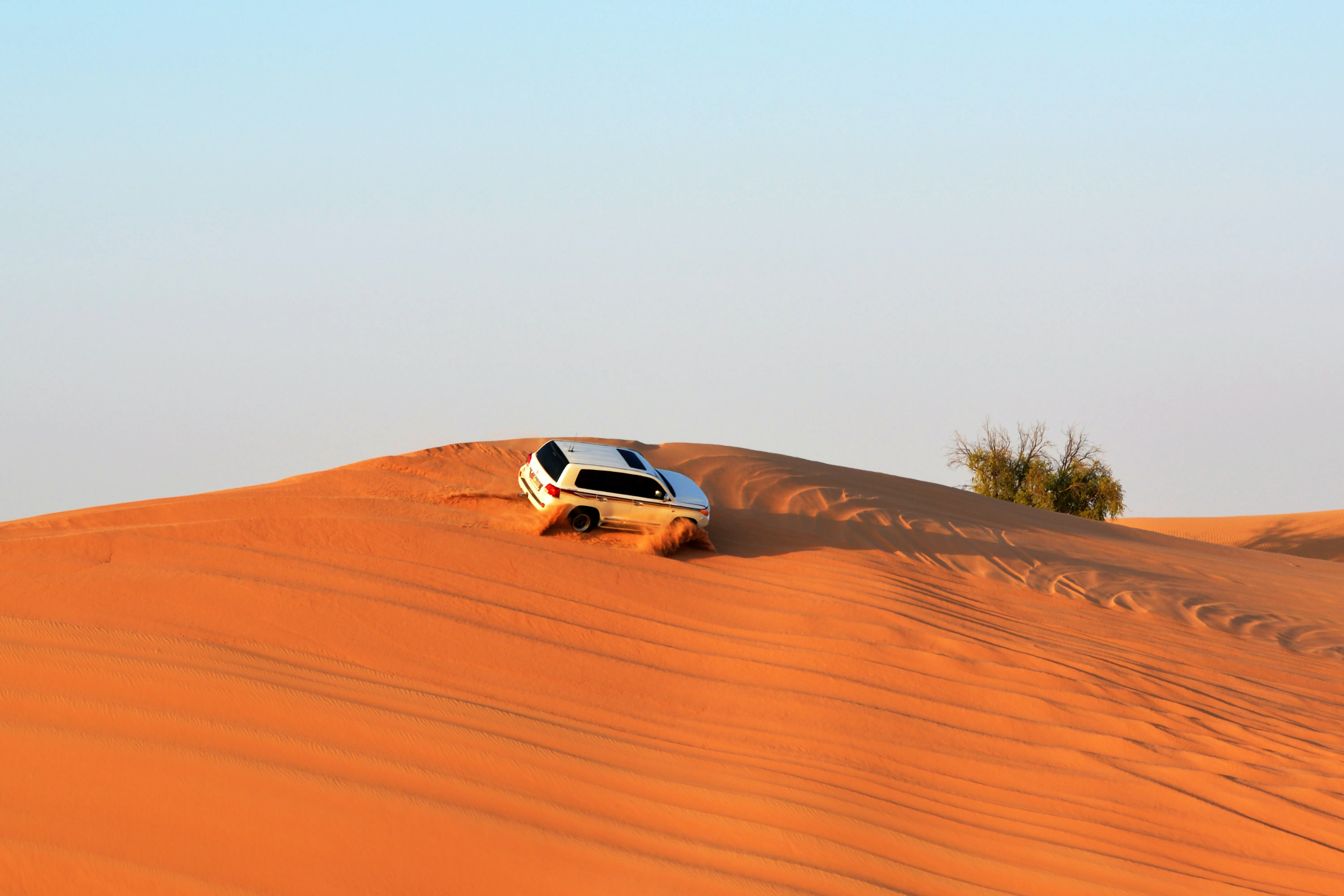 Desert Safari + Dhow Cruise